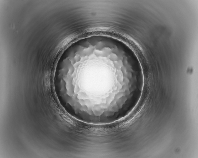 X0000099560921200805161448