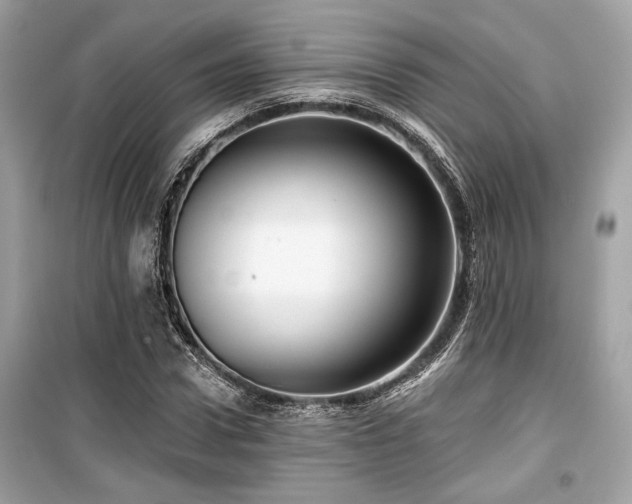 X0000099560922200805161448