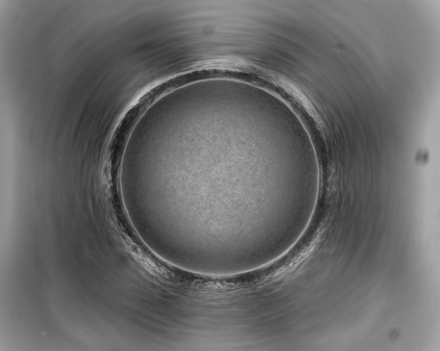 X0000099560923200805161449