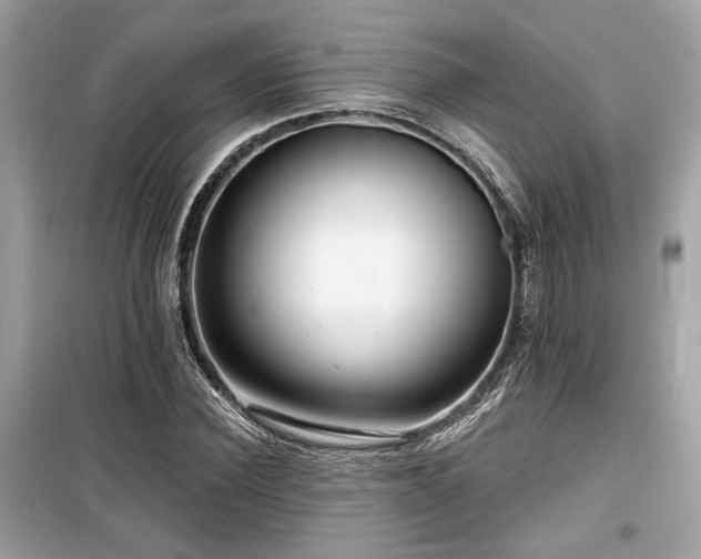 X0000099560924200805161449