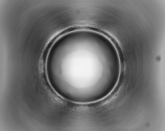 X0000099560925200805161449