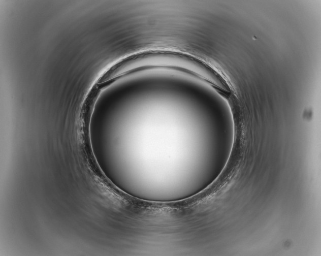 X0000099560926200805161449