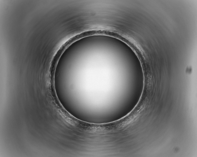 X0000099560927200805161449