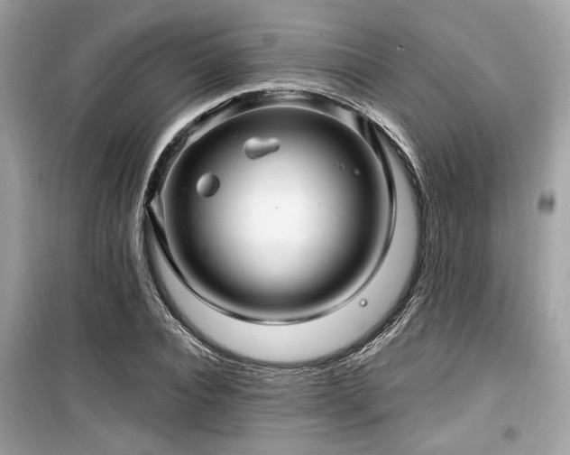 X0000099560928200805161449