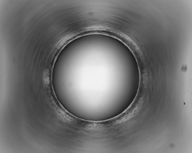 X0000099560929200805161449