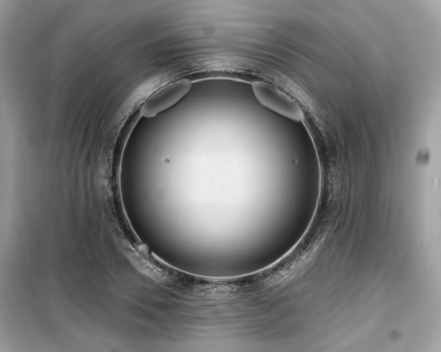 X0000099560930200805161449