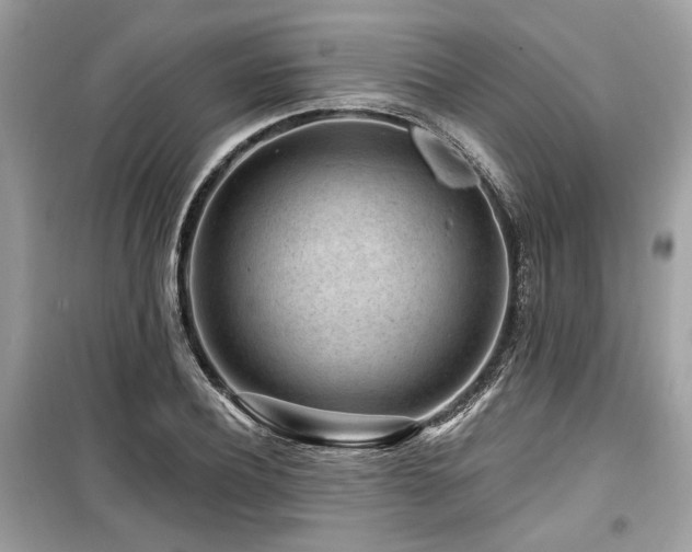 X0000099560932200805161449