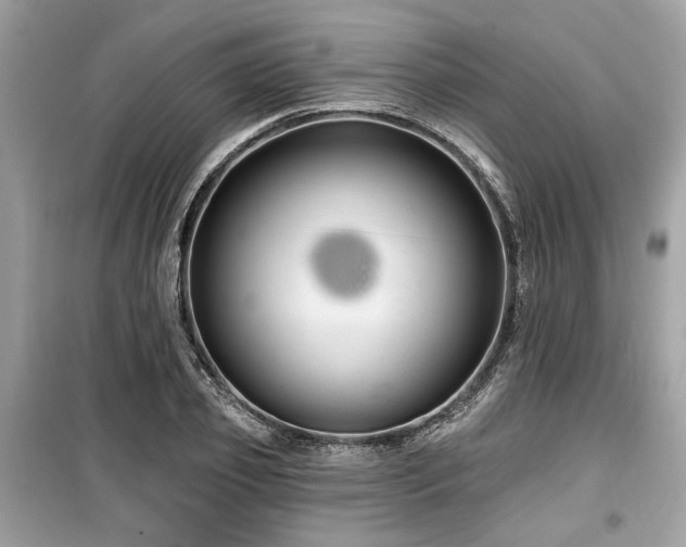 X0000099560933200805161449