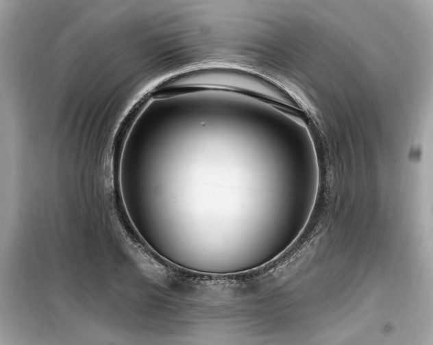 X0000099560934200805161449