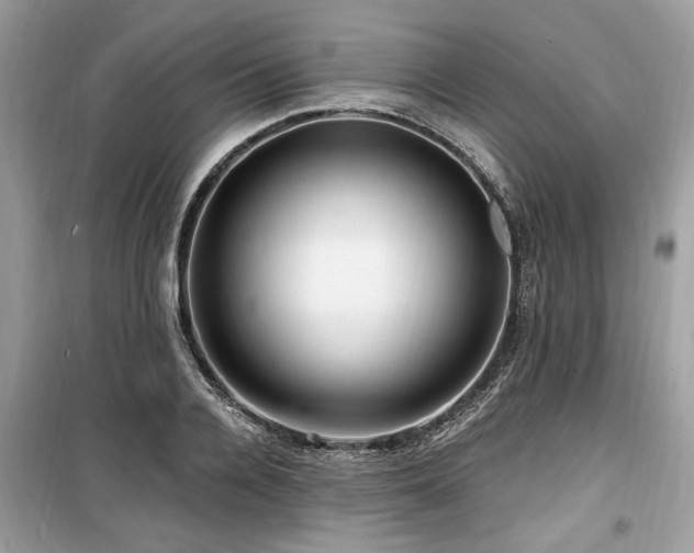 X0000099560936200805161449