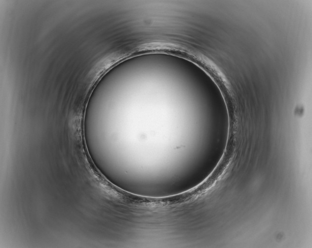 X0000099560937200805161449