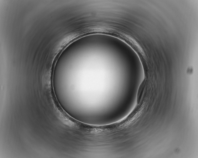 X0000099560938200805161449