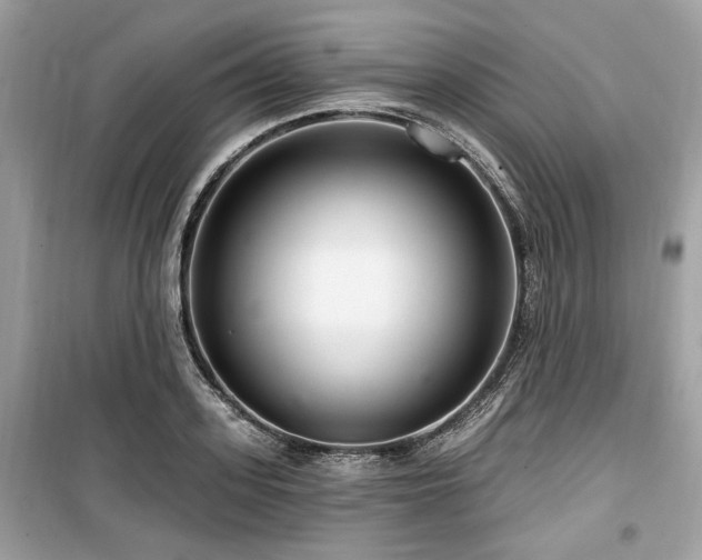 X0000099560939200805161449