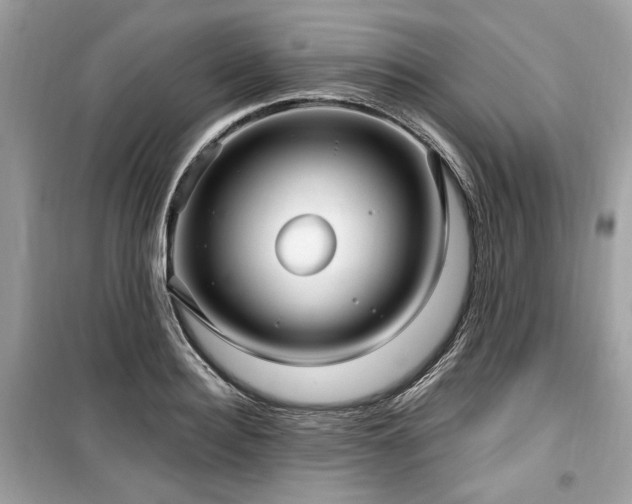 X0000099560940200805161449