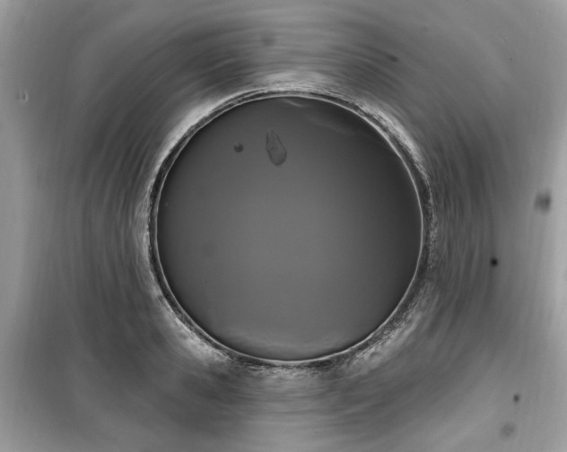 X0000099560941200805161449