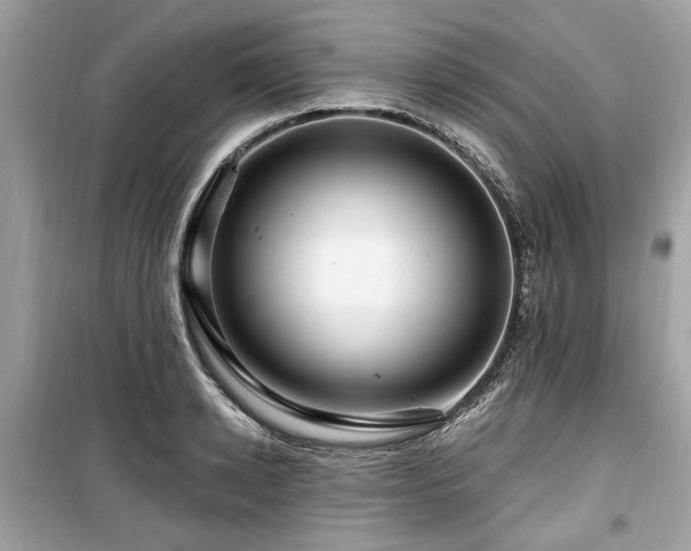 X0000099560942200805161449