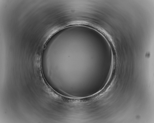 X0000099560945200805161449