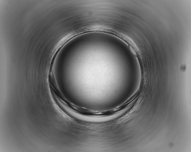 X0000099560946200805161449