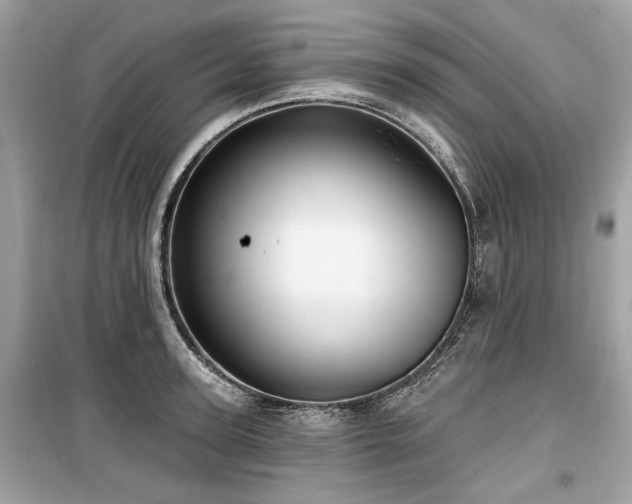 X0000099560947200805161449