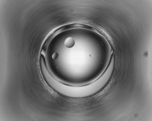 X0000099560948200805161449