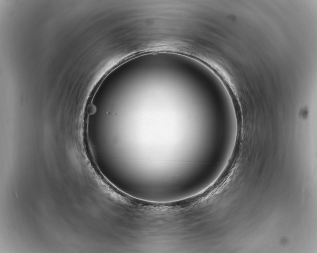 X0000099560949200805161449