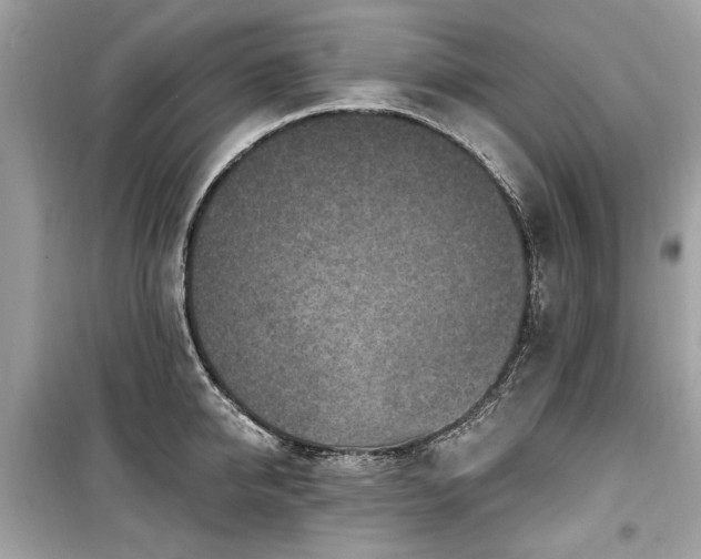 X0000099560950200805161449