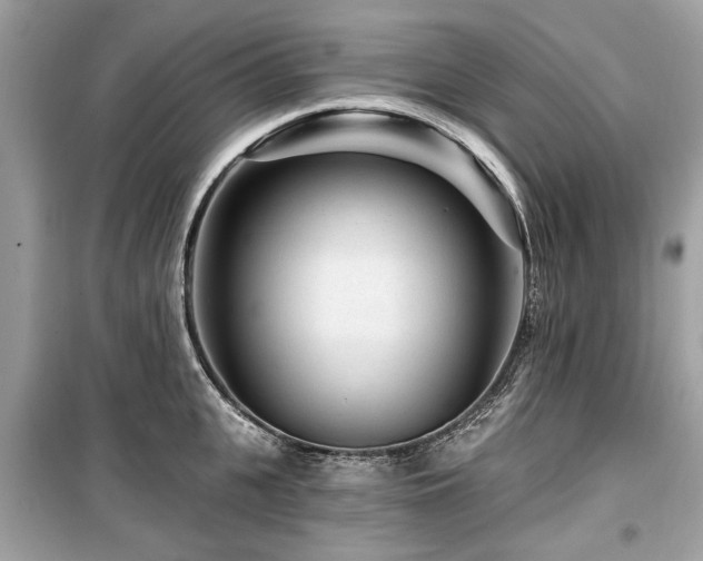 X0000099560951200805161449