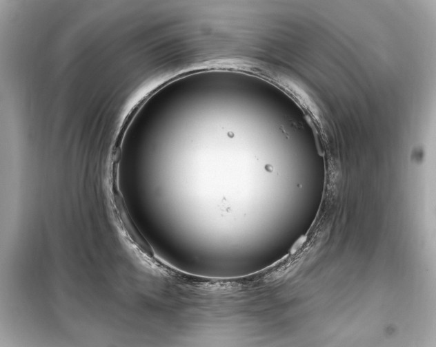 X0000099560952200805161449