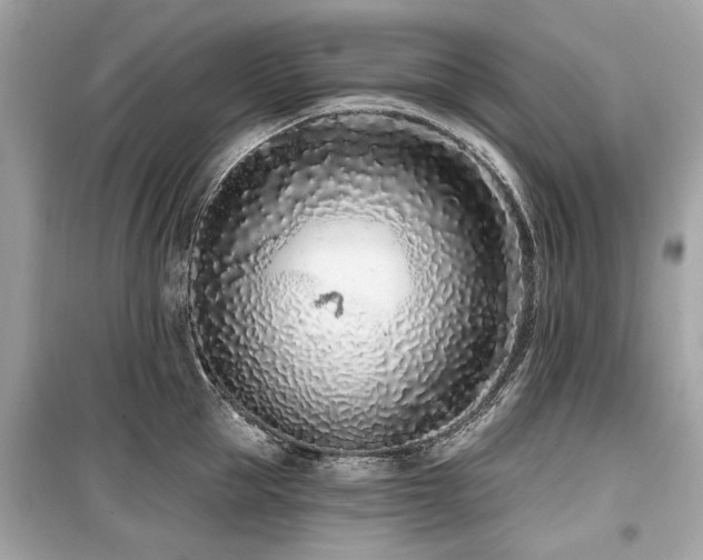 X0000099560953200805161449