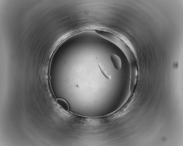 X0000099560954200805161449