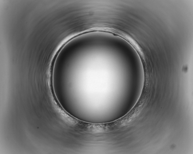 X0000099560955200805161449