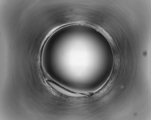 X0000099560956200805161449