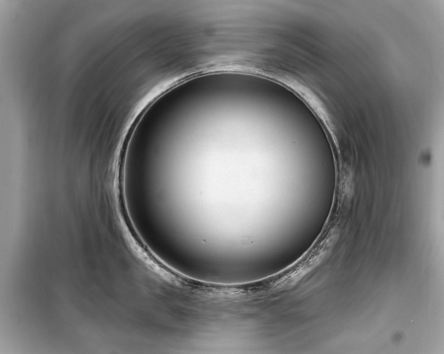 X0000099560957200805161449