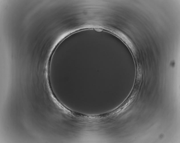 X0000099560958200805161449