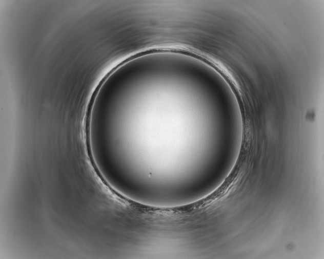 X0000099560959200805161449