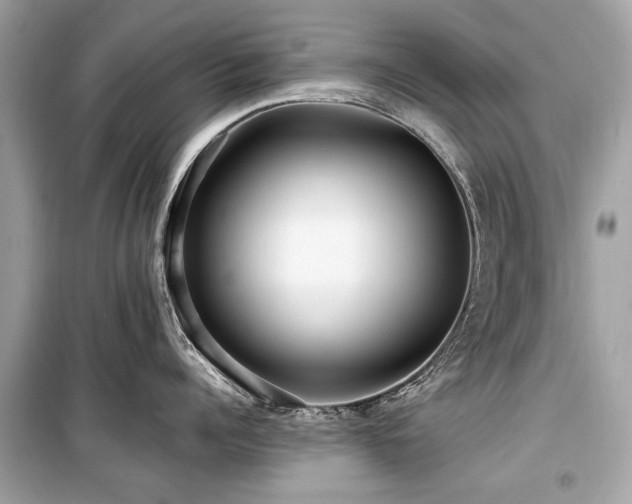 X0000099560960200805161449