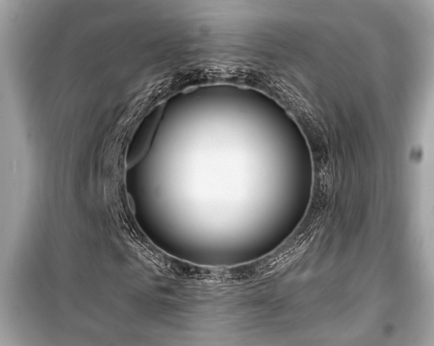 X0000099560961200805161448