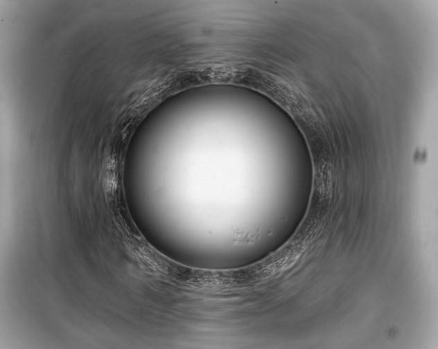 X0000099560962200805161448