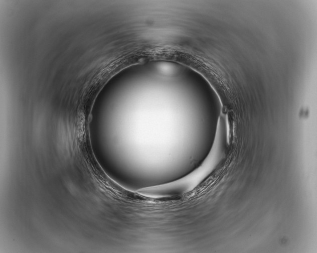 X0000099560963200805161448