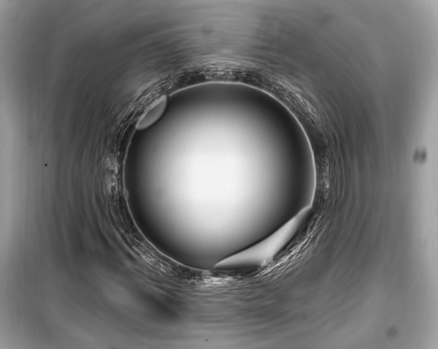 X0000099560964200805161448