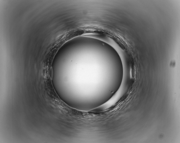 X0000099560965200805161448