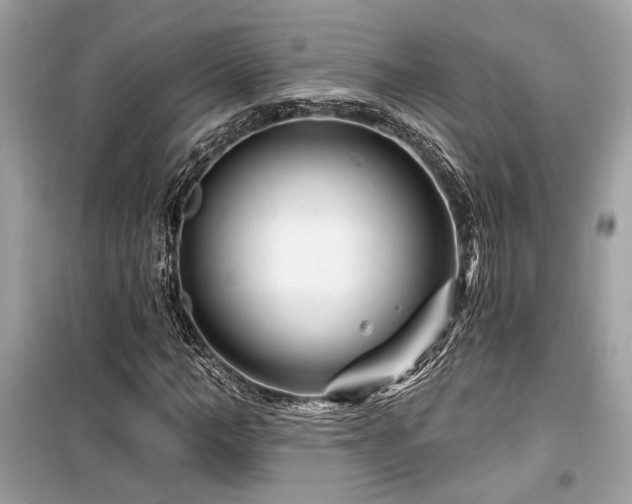 X0000099560966200805161448