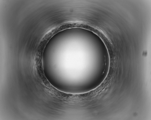 X0000099560967200805161448