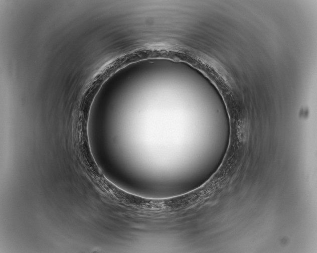 X0000099560968200805161448