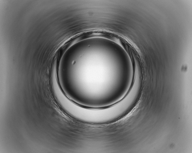 X0000099560969200805161448