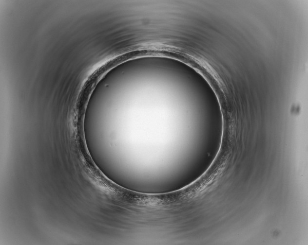 X0000099560971200805161448