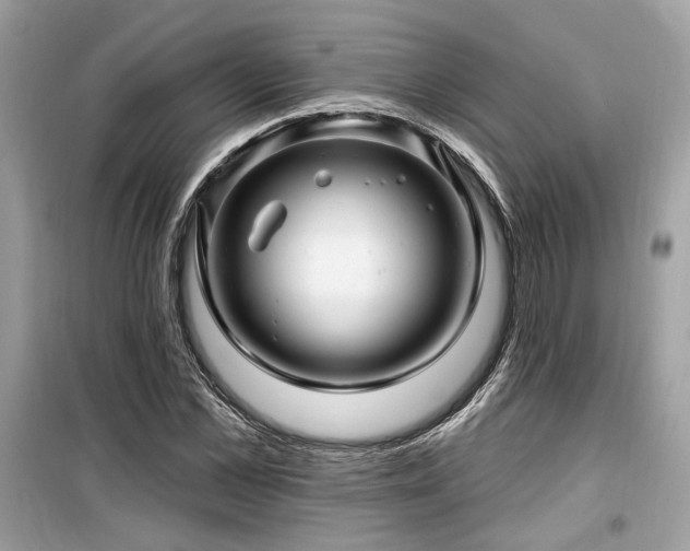 X0000099560973200805161448