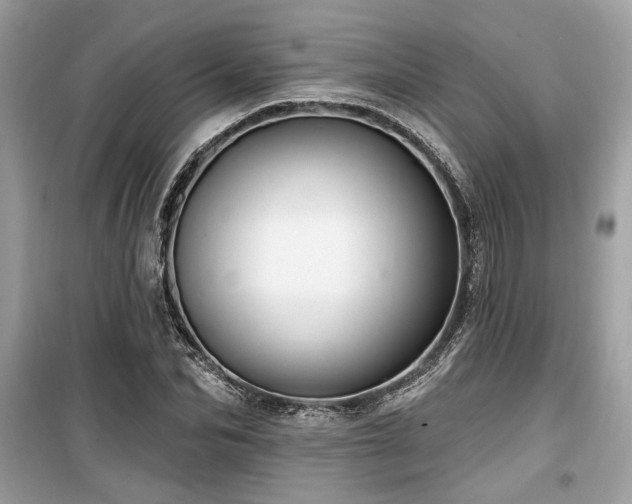 X0000099560974200805161448