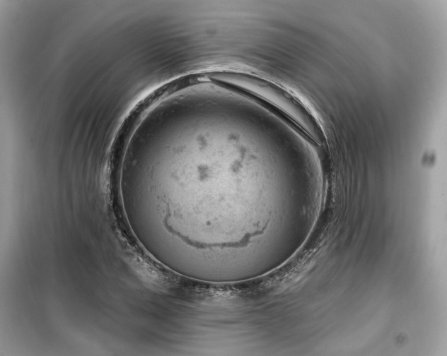 X0000099560975200805161448