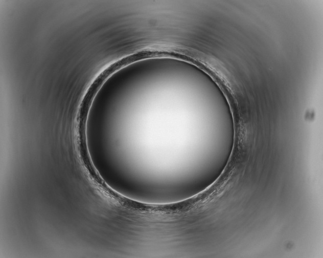 X0000099560976200805161448